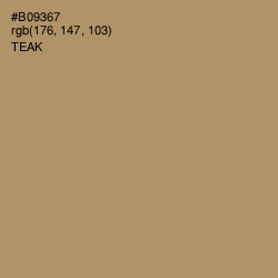 #B09367 - Teak Color Image