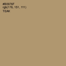 #B0976F - Teak Color Image