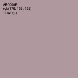 #B0999E - Thatch Color Image