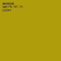 #B09D0B - Lucky Color Image