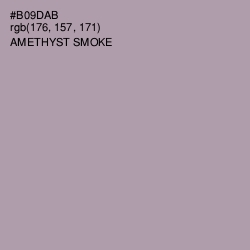#B09DAB - Amethyst Smoke Color Image