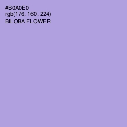 #B0A0E0 - Biloba Flower Color Image