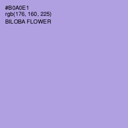 #B0A0E1 - Biloba Flower Color Image