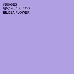 #B0A0E3 - Biloba Flower Color Image