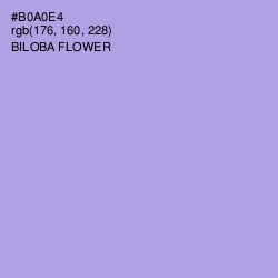 #B0A0E4 - Biloba Flower Color Image