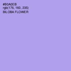 #B0A0EB - Biloba Flower Color Image