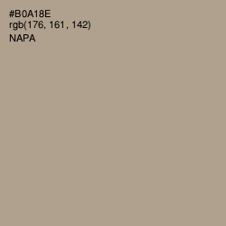 #B0A18E - Napa Color Image