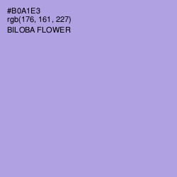 #B0A1E3 - Biloba Flower Color Image