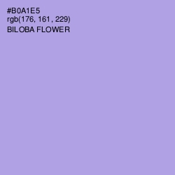 #B0A1E5 - Biloba Flower Color Image