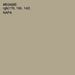 #B0A68E - Napa Color Image