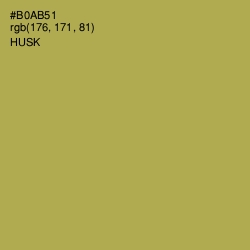 #B0AB51 - Husk Color Image