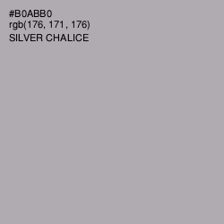 #B0ABB0 - Silver Chalice Color Image