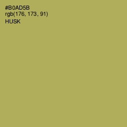 #B0AD5B - Husk Color Image