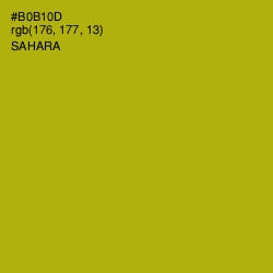 #B0B10D - Sahara Color Image