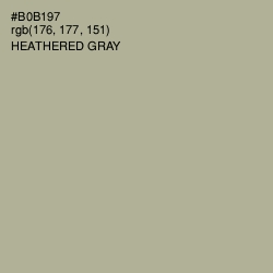 #B0B197 - Heathered Gray Color Image