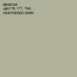 #B0B19A - Heathered Gray Color Image