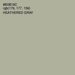 #B0B19C - Heathered Gray Color Image