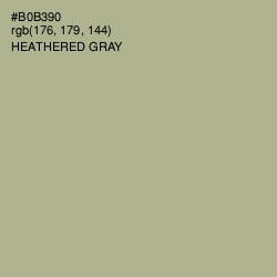 #B0B390 - Heathered Gray Color Image