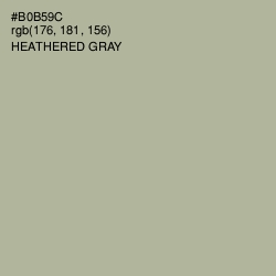 #B0B59C - Heathered Gray Color Image
