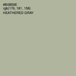 #B0B59E - Heathered Gray Color Image