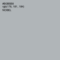#B0B5B8 - Nobel Color Image