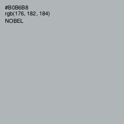 #B0B6B8 - Nobel Color Image