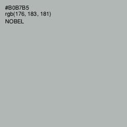 #B0B7B5 - Nobel Color Image