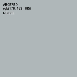 #B0B7B9 - Nobel Color Image