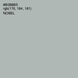 #B0B8B5 - Nobel Color Image