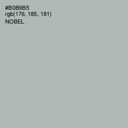 #B0B9B5 - Nobel Color Image