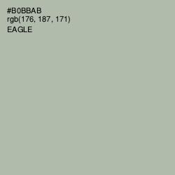 #B0BBAB - Eagle Color Image