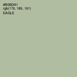 #B0BDA1 - Eagle Color Image