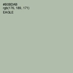 #B0BDAB - Eagle Color Image