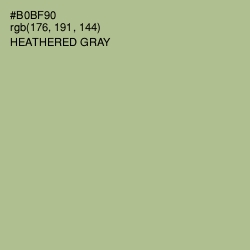 #B0BF90 - Heathered Gray Color Image