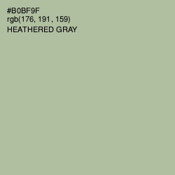 #B0BF9F - Heathered Gray Color Image