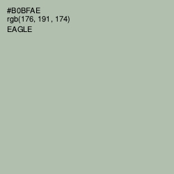 #B0BFAE - Eagle Color Image