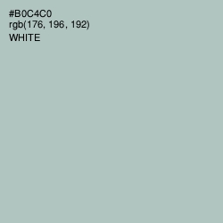 #B0C4C0 - Powder Ash Color Image