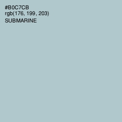 #B0C7CB - Submarine Color Image