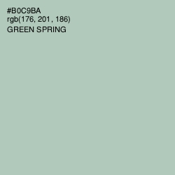 #B0C9BA - Green Spring Color Image