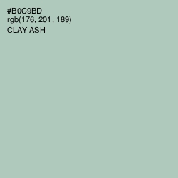 #B0C9BD - Clay Ash Color Image