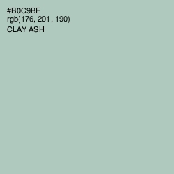 #B0C9BE - Clay Ash Color Image