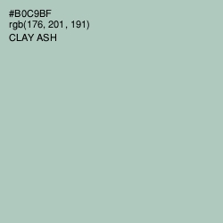 #B0C9BF - Clay Ash Color Image