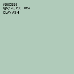 #B0CBB9 - Clay Ash Color Image