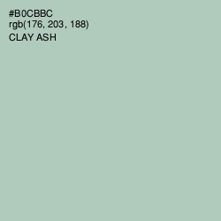 #B0CBBC - Clay Ash Color Image