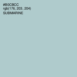 #B0CBCC - Submarine Color Image