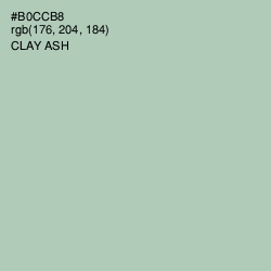 #B0CCB8 - Clay Ash Color Image