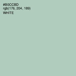 #B0CCBD - Clay Ash Color Image