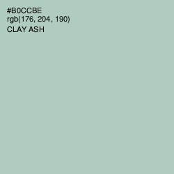 #B0CCBE - Clay Ash Color Image