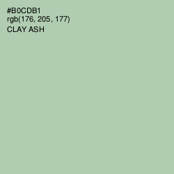 #B0CDB1 - Clay Ash Color Image