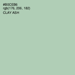 #B0CEB6 - Clay Ash Color Image